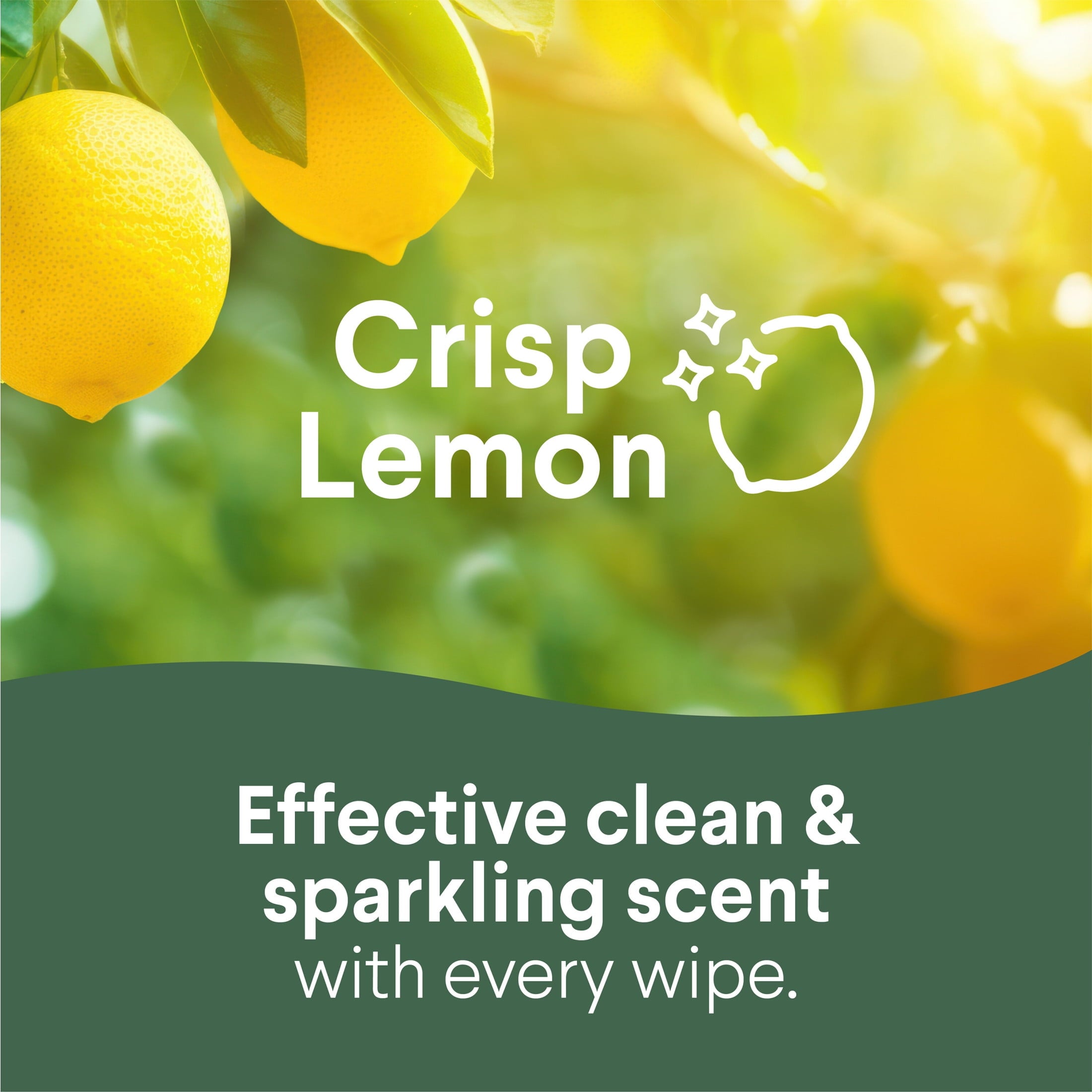 Disinfecting and Cleaning Wipes, Crisp Lemon and Fresh Scent, 75 Count Each, 3 Pack