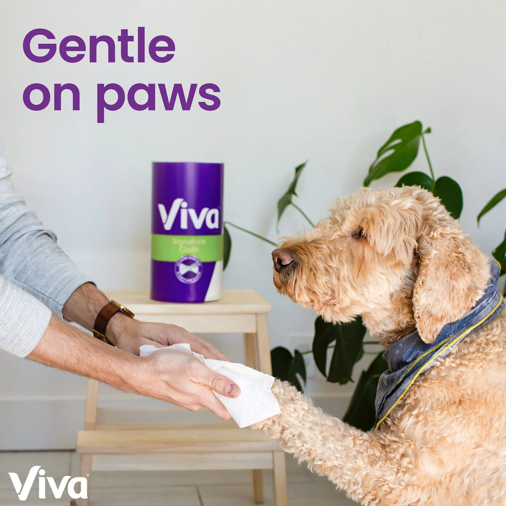 Signature Cloth Paper Towels, 6 Double Rolls